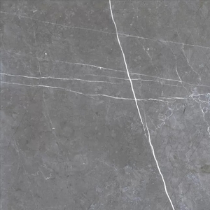 Керамогранит Simbel-grizzly серый с проседью GRS05-05 600х600 матовый
