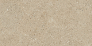 Керамогранитная плитка NP02 30,6x60,9x8 Непол.