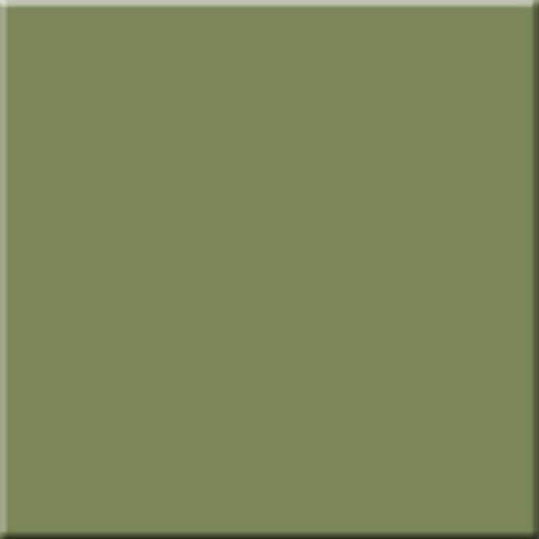 RW06 60x60 Неполированный