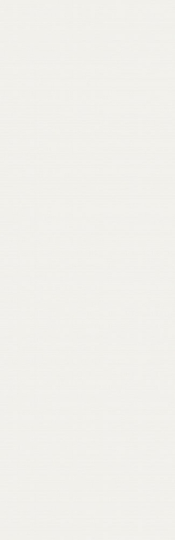 Плитка Meissen Winter Vine белый 29x89