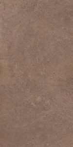 Керамогранитная плитка GO02 60x120x10 Непол.Рект.